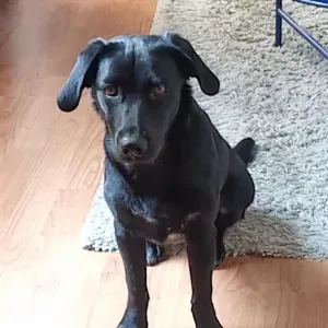 Promenade régulière