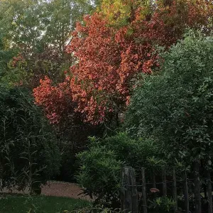 Agent fonction publique territoriale 20 ans