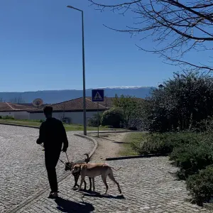 Cuidador de Animais de Estimação!