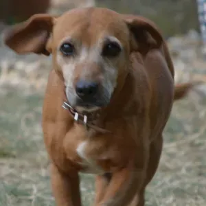 Besoin de garde provisoir