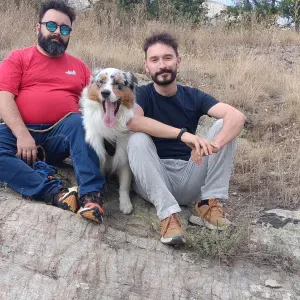 CINISELLO BALSAMO Cerco una persona fidata 