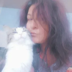 Bonjour, ravie de m'occuper de vos petits compagnons .  