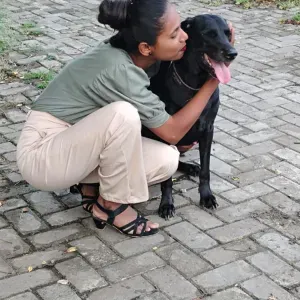 Experienced pet sitter and dog walker