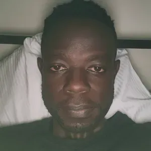 Pet-sitting and walking services Celle