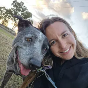 Pet Sitter en Luberon, amoureuse de chien de toutes races !