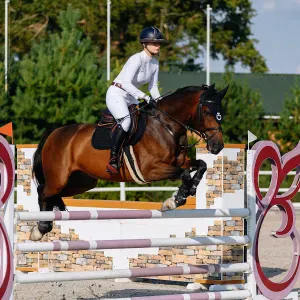 Huishoudster gezocht Rotterdam