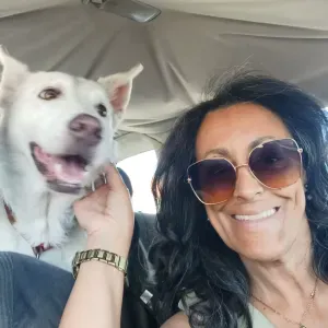 Pet sitting em Setúbal e arredores