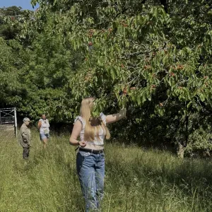 baby-sitter à nancy ! disponible tout l'été 