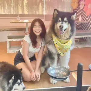 Pet sitting and walking services