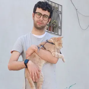 Servizio di cat sitting a Torino