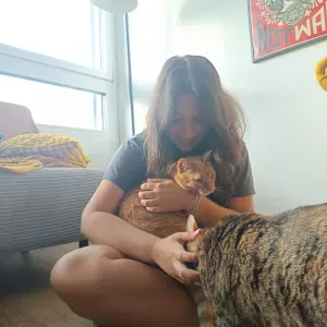 Loving, Experienced Care for Your Cat 😽