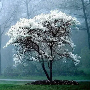 Offerta di lavoro per babysitter – assistenza all'infan...