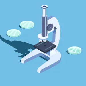 Jeune de 17 ans propose garde d'animaux