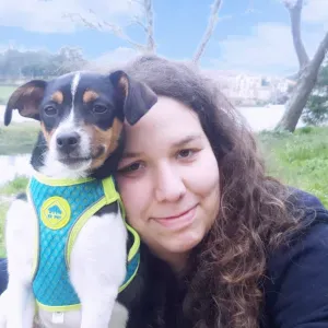 Pet Sitting - Funchal e arredores!