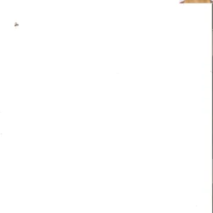 Pet-Sitter dans la région Orléanaise