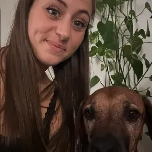 Pet Sitter en Essonnes de chiens
