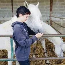 Pet Sitter, sérieux