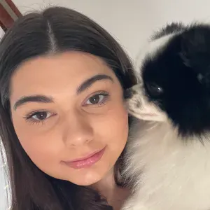Dog sitter affidabile a Pesaro – cura con amore come a casa