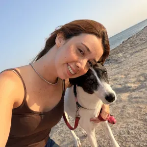 Com carinho, Jack sitting Caparica