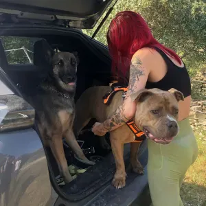 Pet-sitter à Aix-en- Provence 