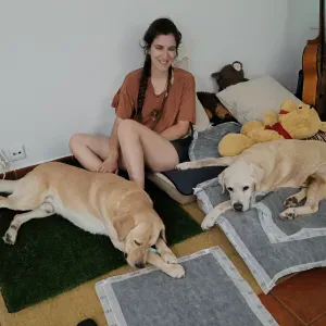 Pet sitting Algarve 🐾