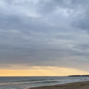 Pet-Sitter aux alentours de Cholet