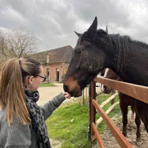 aide à domicile plessis robinson
