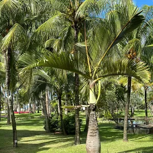 Je cherche une femme de m 