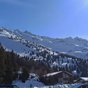 Educatrice de jeunes enfants experimentee