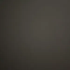 Aide à la personne pour tout type de prestation