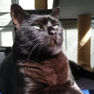 Cova da piedade, 4 dias 