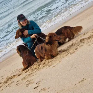 Dog Walking & Dog Sitting Services