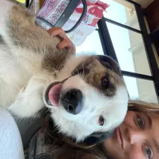 Pet-sitter pour des vacances à vos animaux