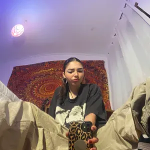 Pet sitting em Castelo Branco 