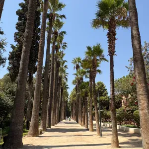 Estou à procura de uma empregada de limpeza perto de mim