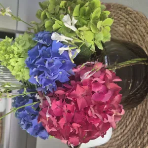 Beby sitter. Domestica..