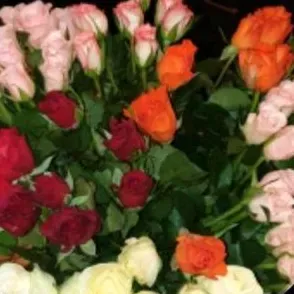 Je recherche prof mathématiques 