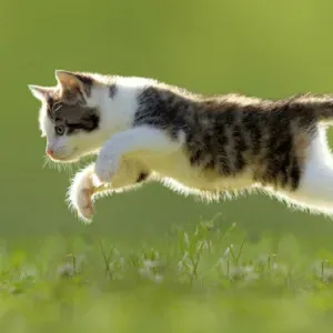 Nounou expérimentée et à porté de main en cas de besoin!