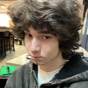 Troskliwa opieka nad kotami i psami w Warszawie