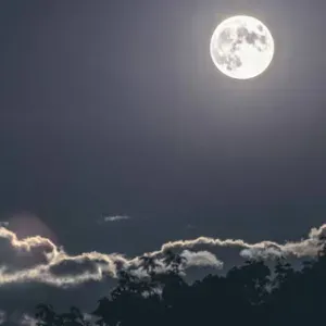 Recherche femme de ménage