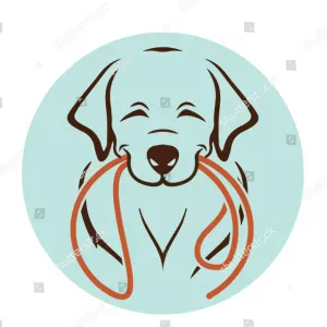 Petsitter disponible -garde d'animaux 