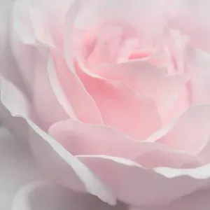 Jeune femme de 19 ans , sérieuse et fiable  