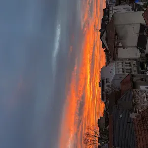 Pet-Sitter en Île-de-France Maira