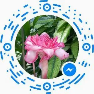 Offre d'emploi pour un(e) femme de ménage àCalvi