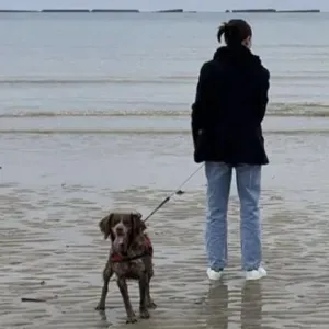 Garde de chien - Emma grande amoureuse des chiens