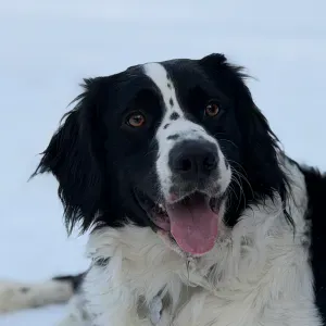 Aide à domicile pour les personnes âgée ou famille à grasse 