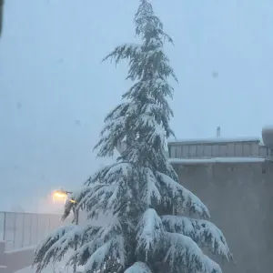 Je cherche un(e) aide ménagère près de chez moi