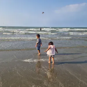 Recherche nounou / Baby sitter