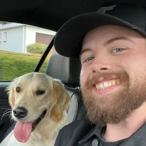 Pet sitting in pelt and environment 