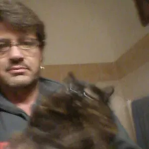 Offerta di lavoro per petsitter a Guidonia Montecelio